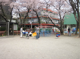 並木南公園の清掃